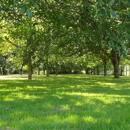 Bed & Breakfast Le P'tit Nid De Gabriel 3*