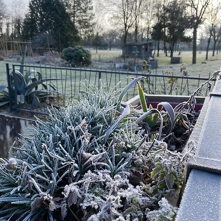 Le P'tit Nid De Gabriel Bed & Breakfast Les Touches-de-Périgny